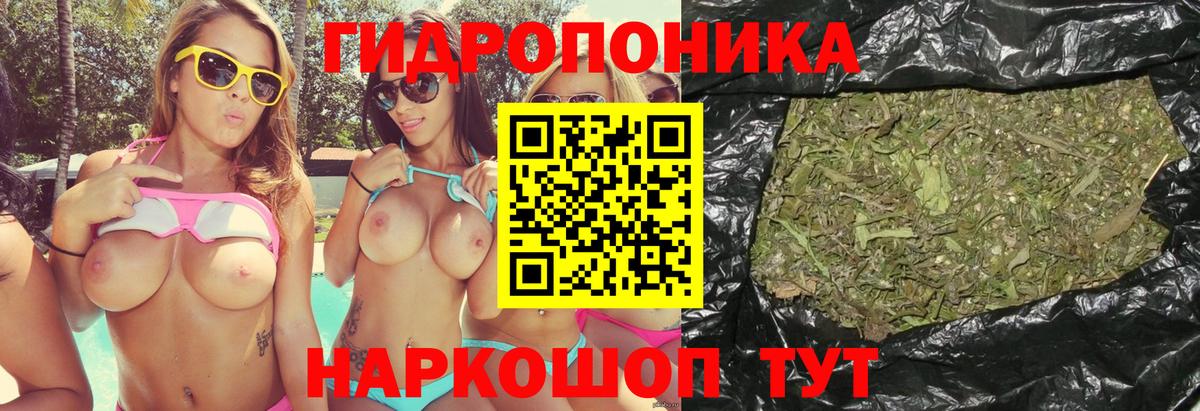 Шишки марихуана конопля  Конопля план  Конопля индика  Усть-Лабинск  Бошки марихуана сатива  Вход с VPN 